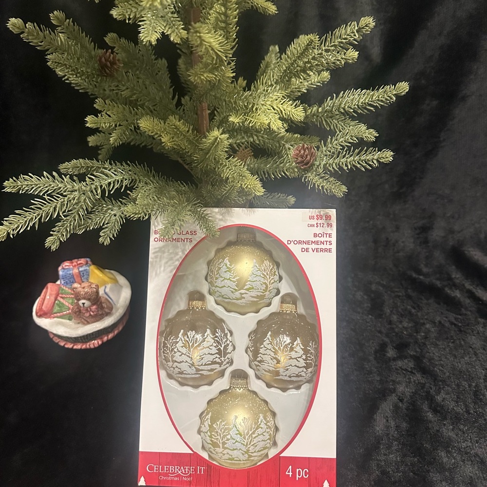 Celebrate It Boxed Glass Winter Wonderland Gold Frosted Christmas Ornaments